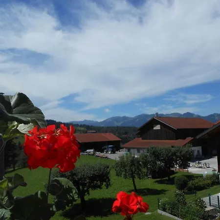 Martin 3 Edelweiss Διαμέρισμα Sonthofen